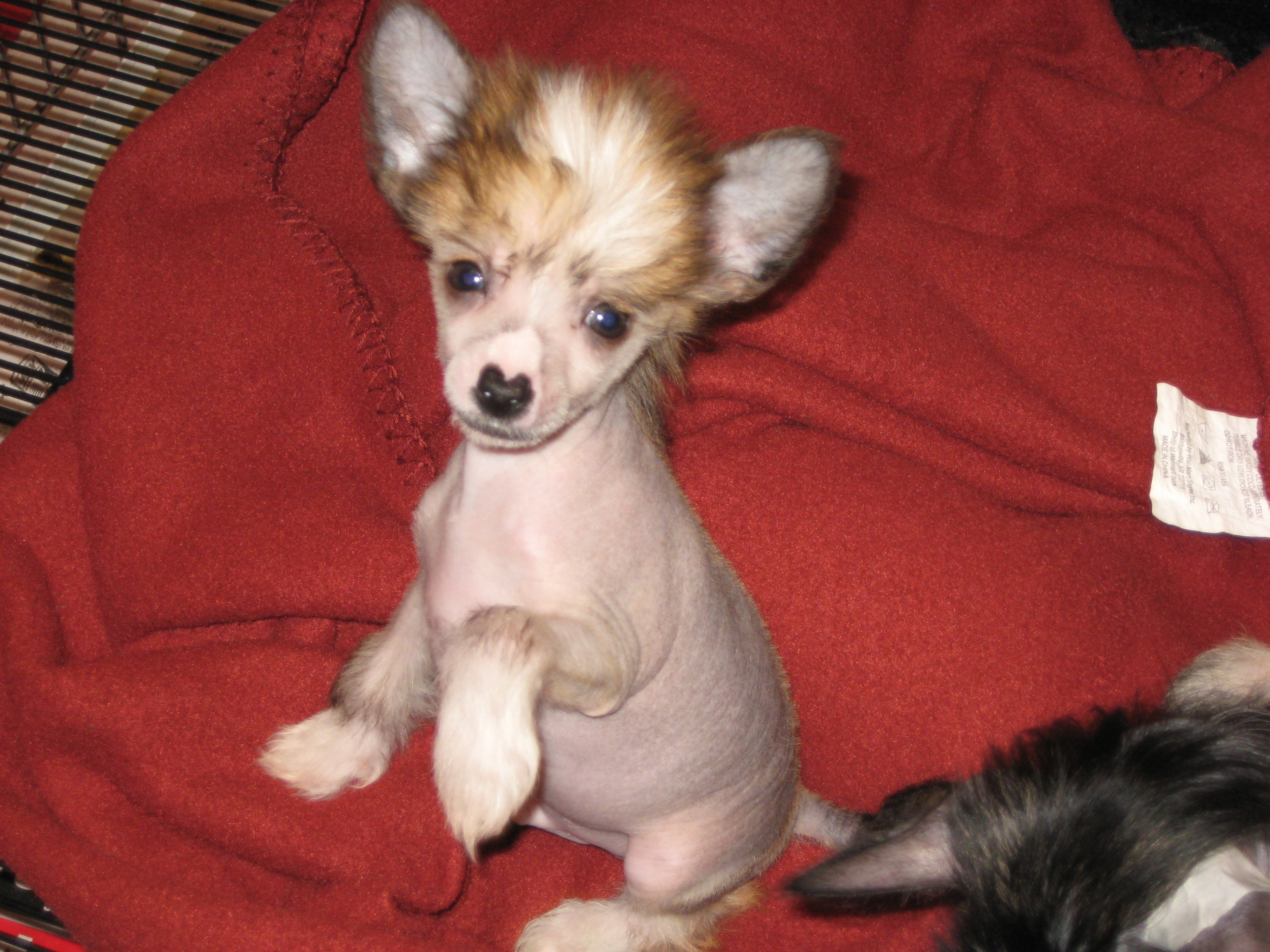 img01151.jpg